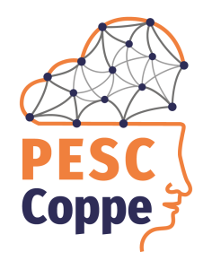 Moodle PESC